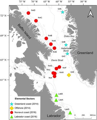 Connectivity of Greenland halibut in the northwestern Atlantic Ocean inferred from otolith chemistry